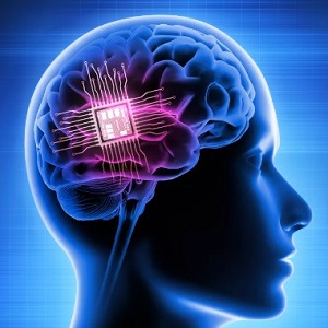 پردازنده ساخته شده با مغز واقعی ! نسل اینده پردازنده ها